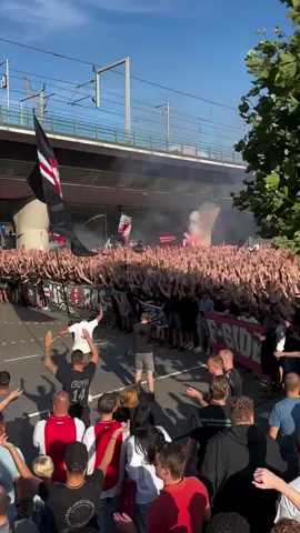 Do Ajax have the best fans in the Eredivisie? ⚪️🔴 | 🎥: vanpogototpopo on Instagram | - #fyp #foryou #foryoupage #football #Soccer #futbol #futebol #footy #ftbl #footballtiktok #ajax #ajaxamsterdam #dutchfootball #netherlandsfootball #ucl #championsleague #uel #europaleague #footballfans #dutchfans #netherlandsfootball 