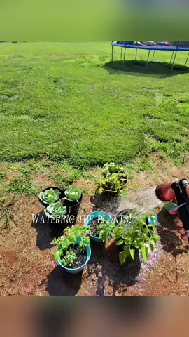 Watered the plants, hit up Lowe’s, and manifested more garden real estate like the boss babes we are 💅🏾🌱 🔥 Because flowers and veggies deserve luxury too, okay?! #raisedbedgarden  #motherhoodunplugged  #loweshomeimprovement  #GardenGoals2025 #ncmomsoftiktok  #DIYBackyardGlowUp