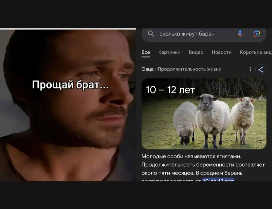 #рекомендации #рек #отправь 1@