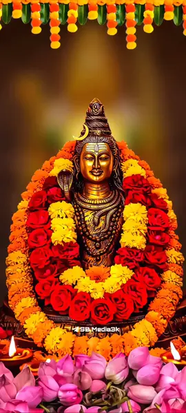 #omnamahshivaya #omnamahshivay #mahadeva #mahadev #shiva #vaikkathappan #thaliparamba #devocional #malayalamsong #sbmedia #watsapp_status #favourite 