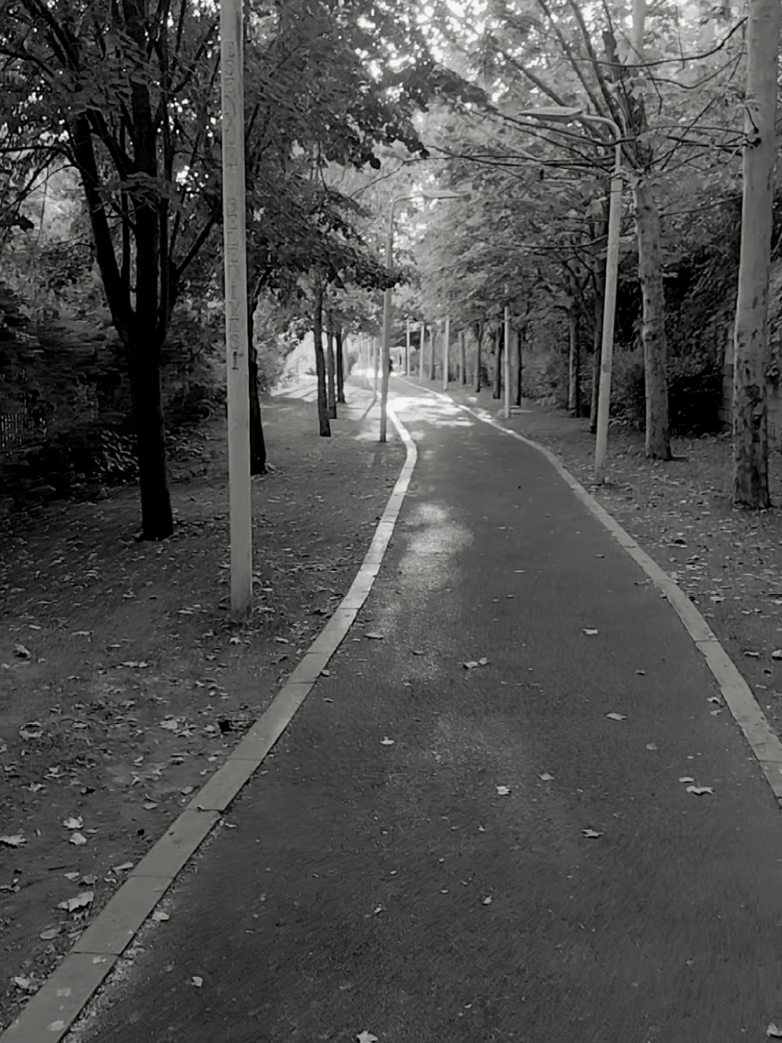 #فوربك_لنسئلنهم_أجمعين_عما_كانوا_يعملون #ياسر_الدوسري #تلاوة_مؤثرة 