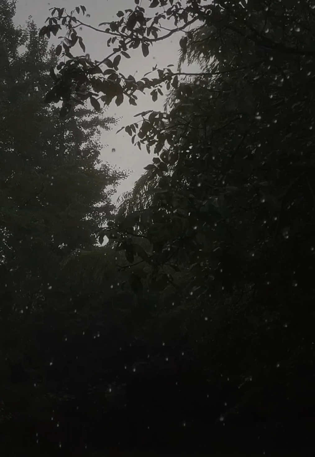 just two minutes of thunderstorm and rain, no music added 