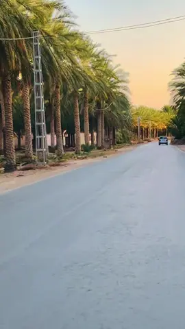 #طولقة_بسكرة07❤️🌴🌴 #الشعب_الصيني_ماله_حل😂😂 #جزائر🇩🇿 