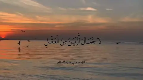 المصدر: كتاب غرر الحكم ودرر الكلم #الامام_علي #فيديوهات_دينية #محتوى_ديني #اجر #صدقة_جارية #فائدة_دينية #foryou #allah #الله #foryoupage #fyp #fyppppppppppppppppppppppp #الشعب_الصيني_ماله_حل😂😂 #مالي_خلق_احط_هاشتاقات 