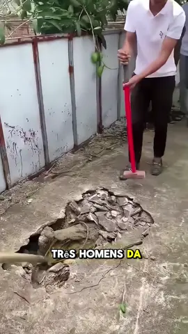 #buraco #crocodilos #historia #historiareal #caso #casos
