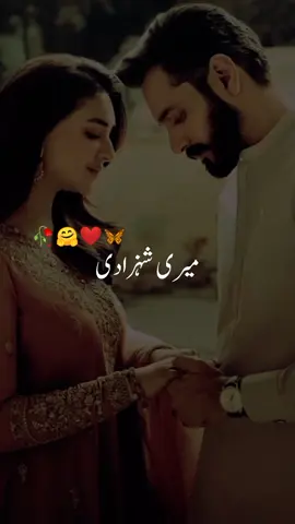 Rishte dar to kaya pori duniya ko cher don ga❤️🥀 #foryou #hammadwrites7868 #foryoupage #vrial #fyp 