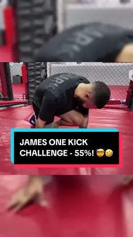 JAMES ONE KICK CHALLENGE - 55%! 🤯🤣#shxtsngigs #funny #podcasts #shxtsngigsclips #tomaspinall #UFC 