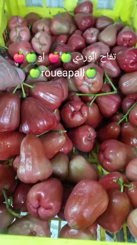 #مملكة الفواكه 👑 👑 👑 #0550893046
