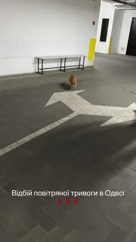 Вже вивчила маршрут за останні 2 місяці 🫠