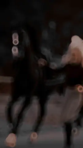 عشاق الخيل 🐴#CapCut 