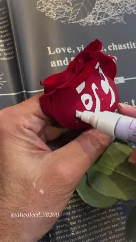 منشنوا نورة 🫣@نورة 💎 @نورة 😊 @نورة 🐆 @نورة 😍 @نورة 🇸🇦  🐈‍⬛✨ @نورة | Norah @نورة 🌱 @نورة 💕 @نورة الشمري @نورة الطائف📸 @نورة المطيري🦌. @نورة الدوسري🦋 @نورة الملا @نورة صالح 🤎 #خطي #خط #نورة #الخطاط_وليد_النمي #كتابة_أسماء #كتابة_عالورد #اليمن 