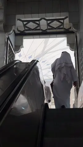 راحة نفسية بمدينة رسول الله 🤍. #اكسبلورexplore #تصوير #fypシ #المدينة_المنوره #مدينة_رسول_الله #الحرم_المدني 