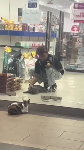 if only i could be that happy🥹 #cat #sadvibes #sad story #sad #animal #animallife #fyp #viral 