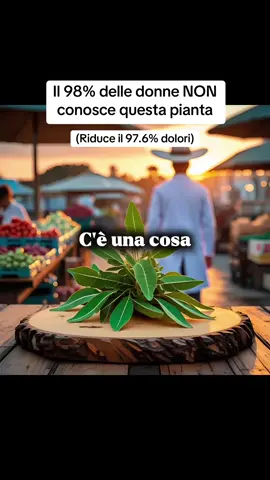 Il 98% delle donne non ha MAI sentito parlare di questa pianta che aiuta tantissimo con le infiammazioni #infiammazione #infiammazionecronica #moringa #soluzione #integratorenaturale 