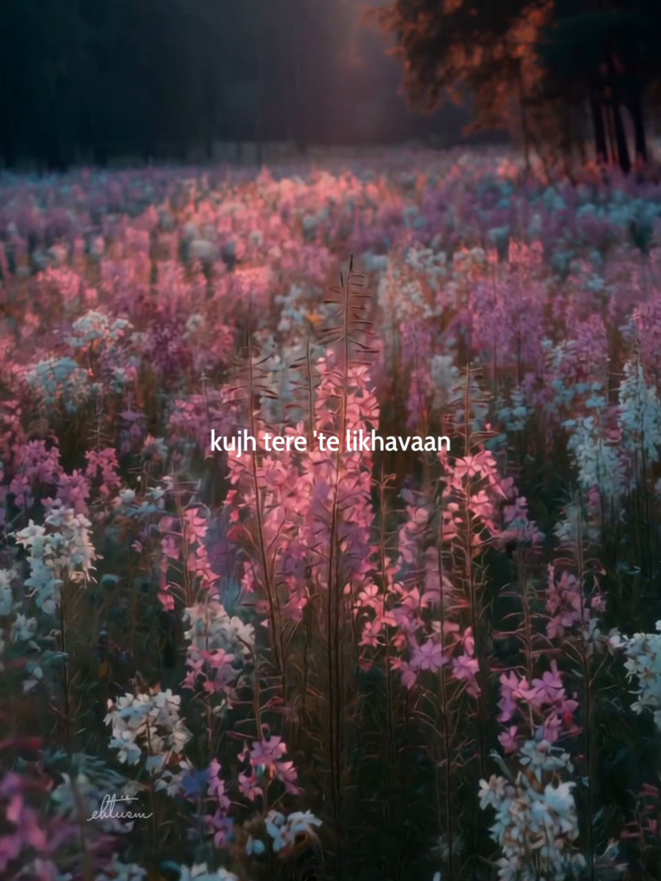 Gulzar Nu Bulawa 🤌🍂 #talwinder #poetry #music  #desihiphop #latest #trend #tiktok #hipe #dxb 