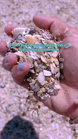 Vero beach was perfect this weekend . Life really is so beautiful 