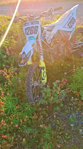 #husqvarna #huskylife #sweden🇸🇪 #race #rockstar #foruyou #tc852024 #mechanic #fyppppppppppppppppppppppp #@🇸🇪𝐉𝐎𝟏𝟖𝟒𝐌𝐗🇸🇪 @thatonetc125kid @♈︎𓀡𓃟⌫✈︎⚤⚠︎︎☢︎︎⏻🜲✃☭࿌ @Maxxzy @kalas_pulver_nya @✨Autism✨ 