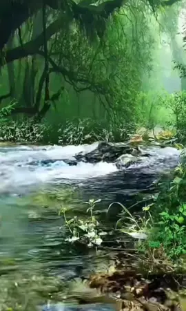 #منا جاة المريدين هي مناجات للإمام زين العابدين )ع) ٠ ٠ ٠ ٠ لي ولوالدي صدقه جاريه 