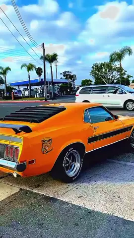 The 1970 Mustang Mach 1 Twister Special is one of the rarest and wildest street-legal Mustangs ever built. Originally planned as pace cars, only 96 were made-48 with the legendary 428 Super Cobra Jet V8. Finished in Grabber Orange with black stripes and a tornado decal, these cars came equipped with Drag Pack suspension and were quarter-mile killers. Built only for Kansas dealers, they've become holy grails for collectors-one recently sold for over $250,000. A true American muscle legend. Video Credits: Hamza Bouberbouche #mustang #mach1 #fordmustang #musclecar #americanmuscle #classiccar #vintagecars #carlifestyle #rarecars #418power #428scj #grabberorange #carrestoration #autoclub #carenthusiast #fastcars #automotivehistory #foryoupage #viral #unitedstates #news #CarMods #MuscleCarLover #CarHistory #CLSCARS #OldSchoolCars #hamzabouberbouche #clscarsmizou #classiccar #tiktokautocampaign 