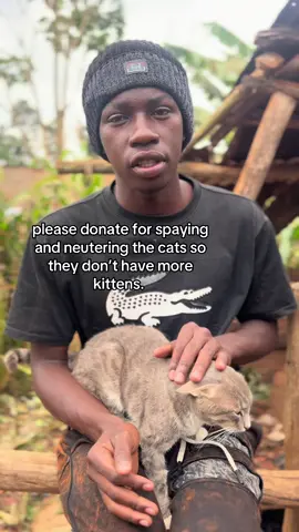 Donation link in bio 