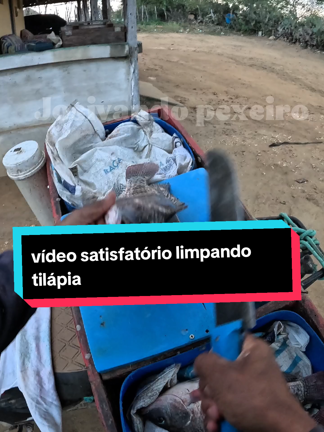 vídeo satisfatório tratando tilápia #peixe #satisfatorio #satisfactory #tilapia 