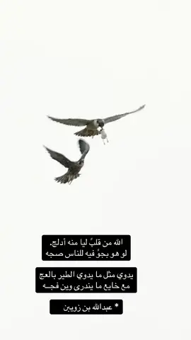 #شعراء_وذواقين_الشعر_الشعبي 