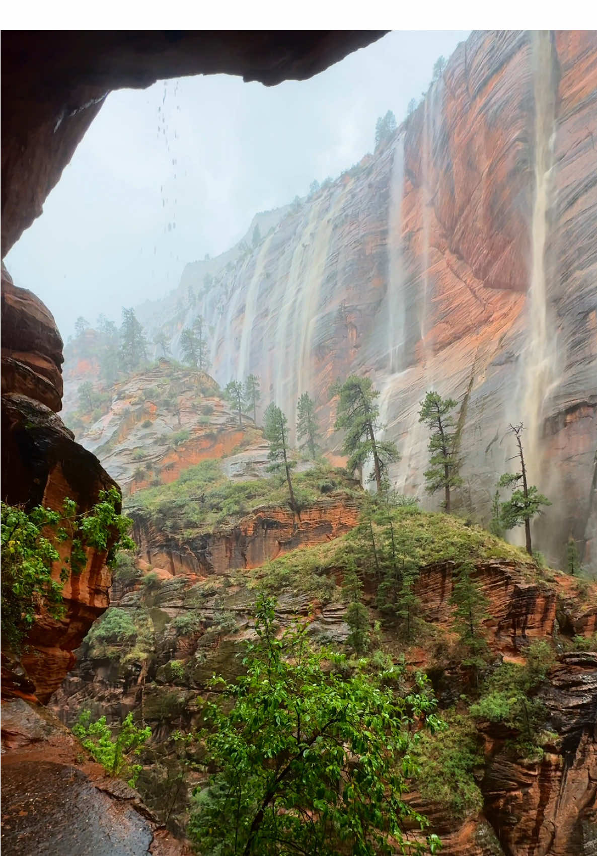 Nothing beats a jet2 holiday ⛈️#flashflood #angelslanding #zionnationalpark #jet2holidays 