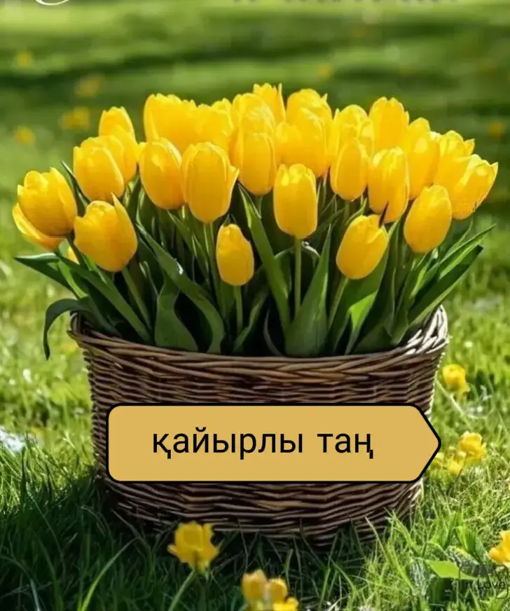 #жанұямызаманболсын🙌 #қайырлытаң #рек 