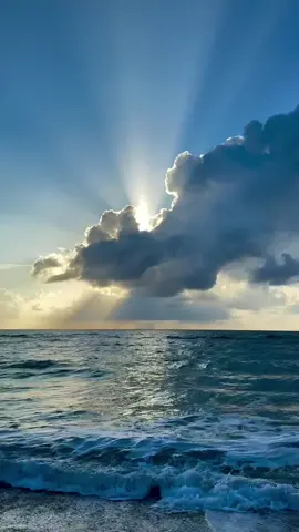 اللي عمرات اجيوبه غير اعيوبه واجد والناس استهزوبه#خميس_العزومي #عمرات_اجيوبه#الفايديے515🇪🇬🇱🇾🔥🦅 #شتاوي_وغناوي_علم_ع_الفاهق❤🔥 #بدو_سيناء 