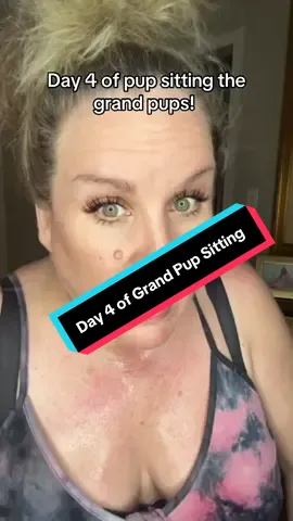 Day 4 of pup sitting All my grand pups! @ella #dogs #dogsoftiktok #frenchie #labsoftiktok #schnauzer #arkansas #daughters #foryou #fyp 