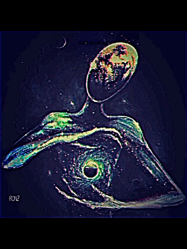 A responder a @night.editz8 CRIATURAS CÓSMICAS vs CRIATURAS COM TOONFORCE || #videoviral #terror #edits #fyp 