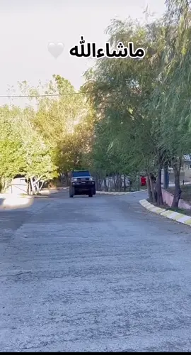 @جوانکاری حەمەی حاجی 🚗⚜️ 