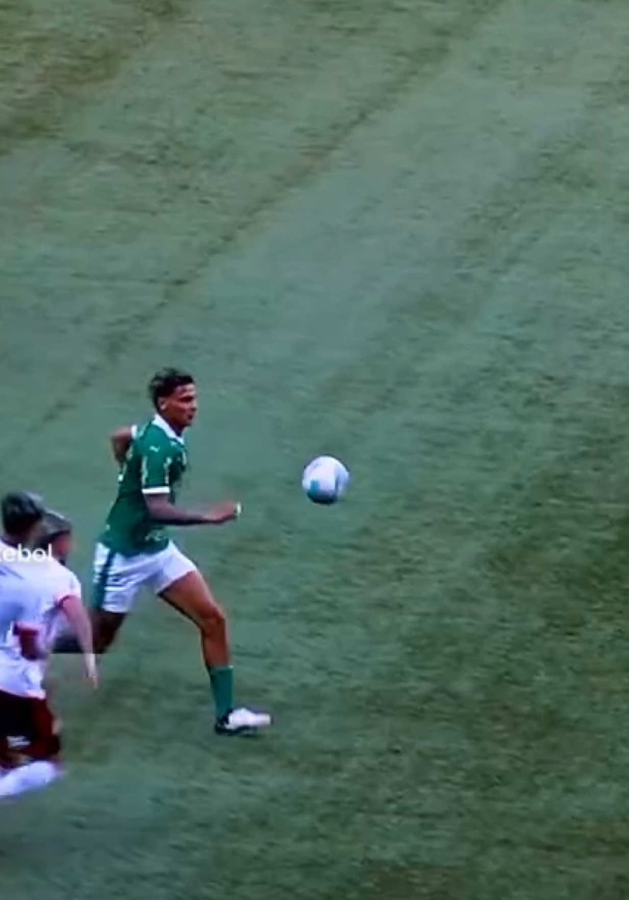 #mariachuteira #bulto #volumerusso #volumerusse #gatosdofutebol 