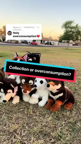 Replying to @₊˚⊹ST4RXZICL₊˚⊹  Stick to your passions, don’t buy things because they are cheap & trendy, by doing so you are less likely to donate/ throw away items Also holding brands accountable for making higher quality items, like @Walmart ! They used to make very nice quality plush and now it’s horrible cheap material that will end up in a landfill after that holiday is over vs their older stuff that had more care and attention put into them #p#primeshibaw#wolfloverc#collectionroomp#plushcollectors#stuffedanimalsd#dogloverw#wolfdogw#wolfgirla#akitas237p#plushcollectionp#plushd#dogplushp#plushcommunityp#plushtokhusky 