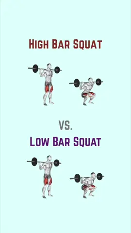 High Bar Squat vs. Low Bar Squat #lifting #muscle #gym #Fitness 