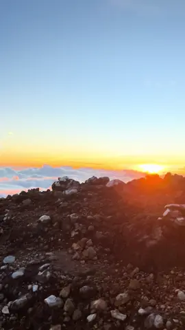atap sumatra selatan#mountain#dempo#dempopagaralam#gunungdempo3159mdpl#pendakigunung#gunungindonesia#fyppppppppppppppppppppppp 