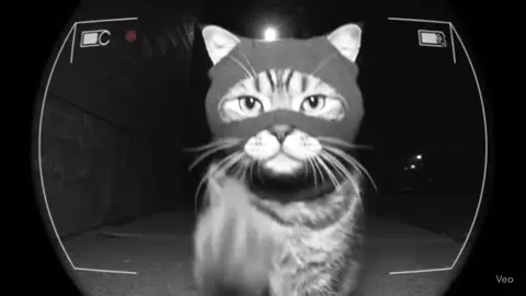 🖕(song: ilyTOMMY - fine shyt) #ilytommy #fyppppppppppppppppppppppp #explorepage #cat #xyzbca #catsoftiktok #catlover #cattok #cats #viralvideo #ai #wthelly #middlefingerup #funnyvideo #foryoupageofficiall #undergroundmusic #hoodtrap #funnycat #tiktokviral #tiktok 