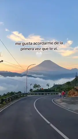 dedicasel@