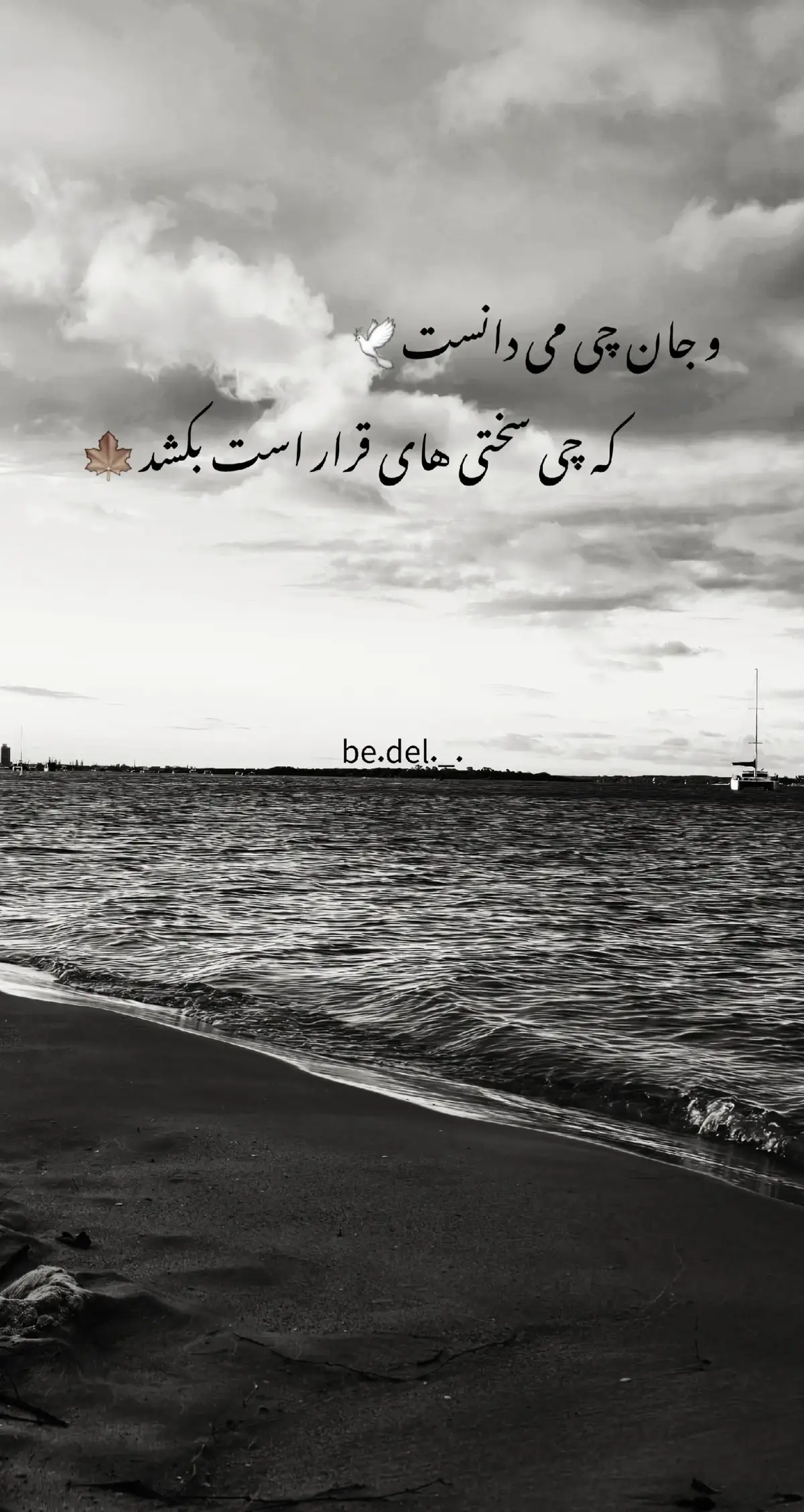 #زندگی #جمله_ناب #شعر_فارسی #ادبیات #دلنوشته #احساسات #جمله #شکست #poemas #fypシ #fyp #poetrytok #viralvideo #trending #foryoupage 