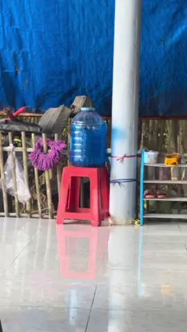 Mới có 81t chứ nhiêu