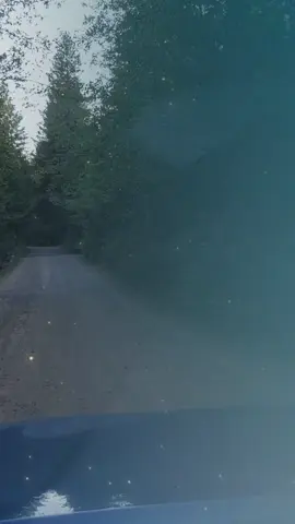 #CapCut #evrydayisadifrentdayenjoy#evrymomentinyourlife#💯🙏 