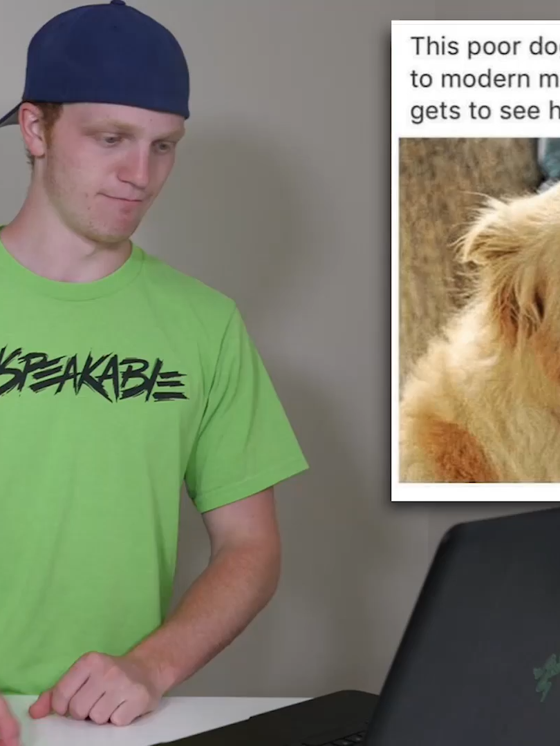 DON'T EVER TRUST THESE DOGS!