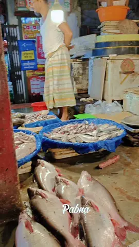 পাবনা মাছ বাজার 🥰🐟 #tiktok #সাপোর্ট_করলে_সাপোর্ট_পাবেন #pabna #foryou #foryoupage 