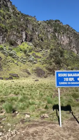 Surganya gunung sumbing #fyp #segorobanjaran #sumbingmountain #sabanasumbing 