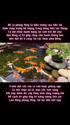 #phongthuy #meohay #thaomoc #vatphamphongthuy #catlongnhuy 