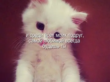 Она — не просто подруга. Она как тёплый плед в холодный вечер, как любимая песня, которую знаешь наизусть. С ней можно молчать и всё понимать. Она чувствует моё настроение по одному слову, верит в меня, даже когда я сомневаюсь. Мы — две души, которые нашли друг друга в этом большом мире. Я безумно благодарна, что она есть.