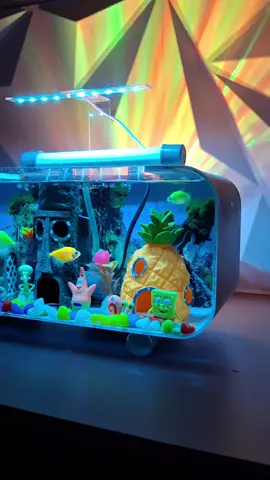 #aquarium #aquariumfish #aesthetic #Spongebob 