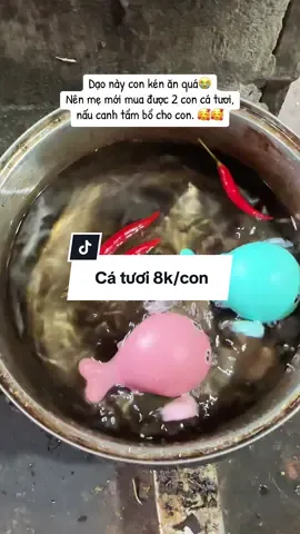 Mua được 2 con cá tươi, về tẩm bổ cho con. Dạo này con kén ăn quá☺️. Con có 8k/freeship tận nhà nữa cher😁#MẹGạoơi❤️ #dochoichobe #dochoinhatamchobe 