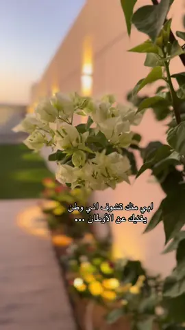 #اكسبلورexplore❥🕊🦋💚❤ #عنيزه_القصيم 