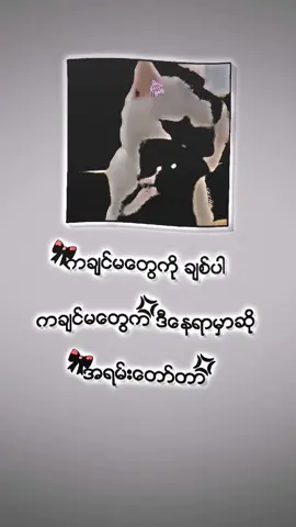 #2025 #tiktok #fypage #views #kachin #❣️❣️❣️❣️❣️❣️💟💟💕💕💞 